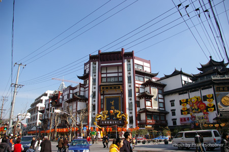IMGP4855