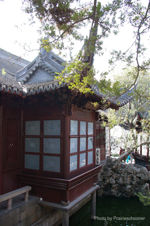 IMGP4915