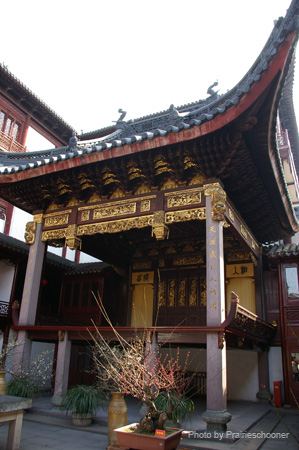 IMGP4941
