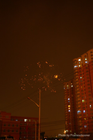 IMGP5153