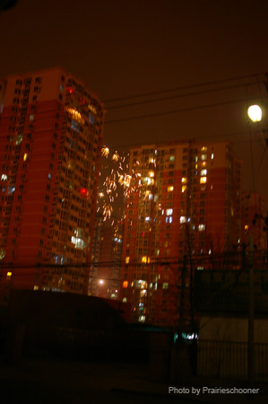 IMGP5154