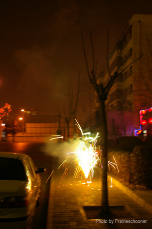 IMGP5163