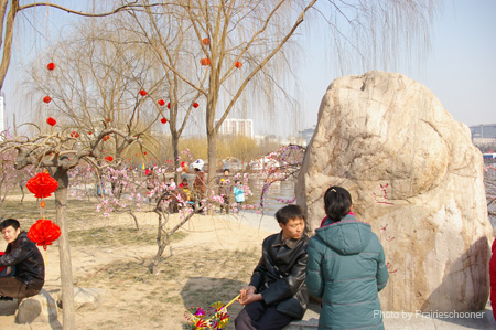 IMGP5239