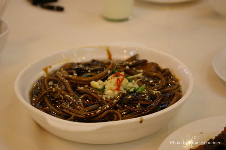 IMGP5263