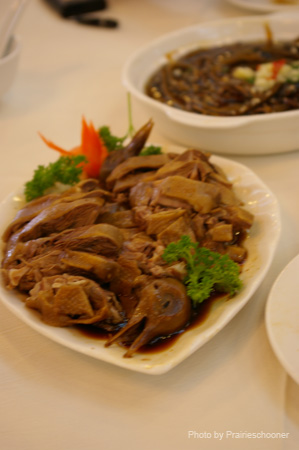 IMGP5264
