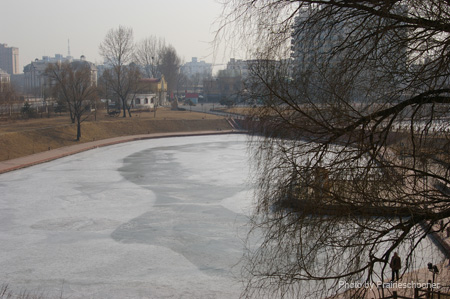 IMGP5268