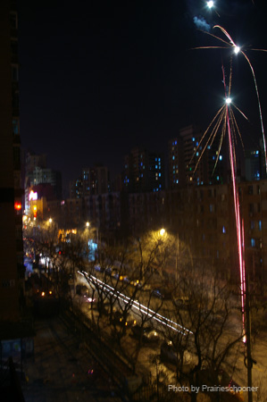 IMGP5415