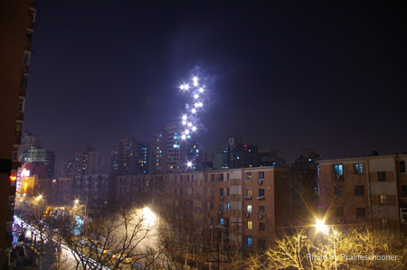 IMGP5419