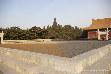 IMGP5447