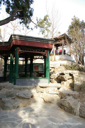 IMGP5456