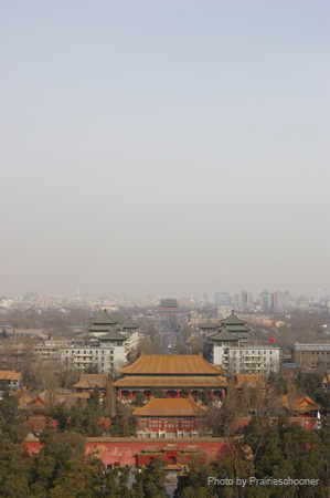 IMGP5466
