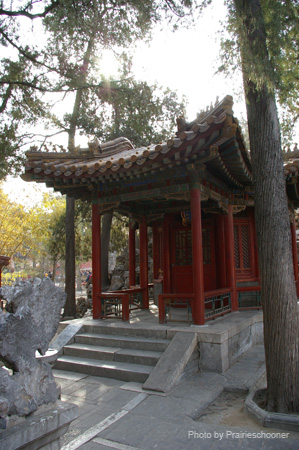 IMGP5476
