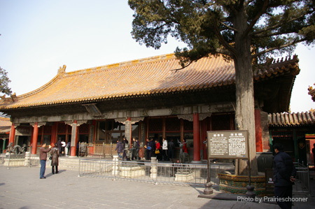 IMGP5482