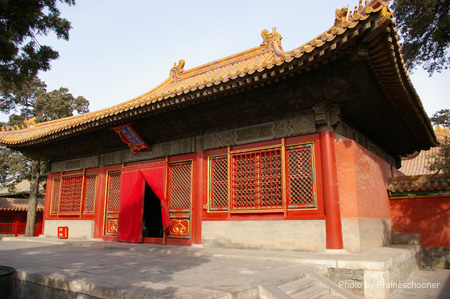 IMGP5485