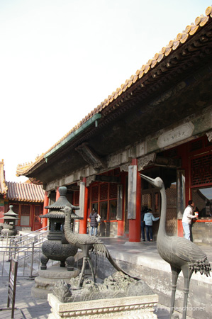 IMGP5488