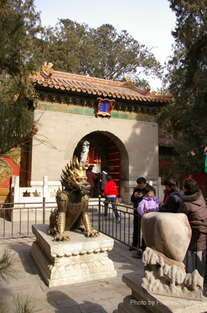 IMGP5518