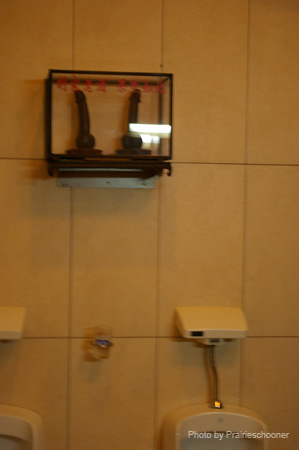 IMGP5552