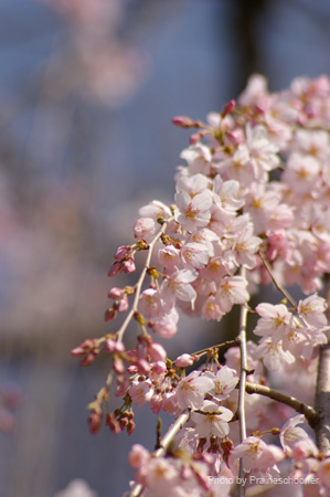 IMGP0028
