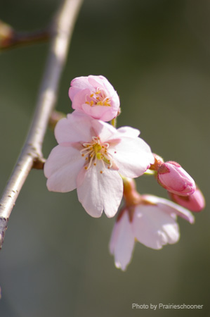 IMGP0033