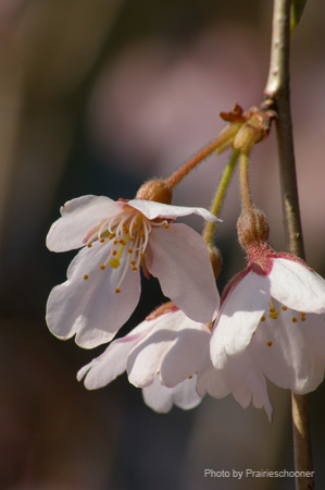 IMGP0058