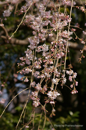 IMGP0071