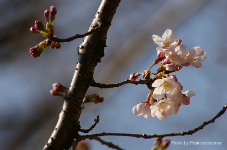 IMGP0081