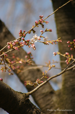 IMGP0091
