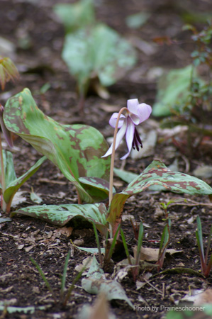 IMGP0119