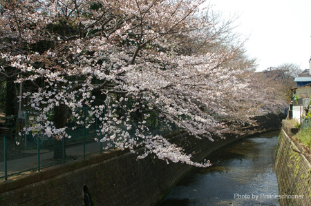 IMGP0143