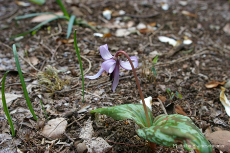 IMGP0148