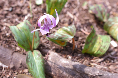 IMGP0156