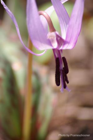 IMGP0160