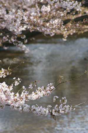 IMGP0173
