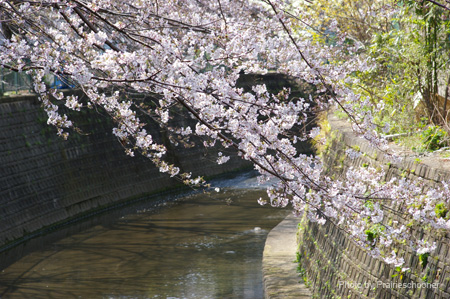 IMGP0186
