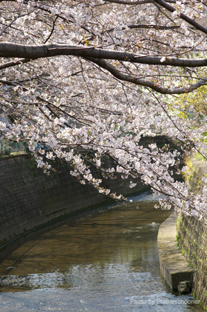 IMGP0187