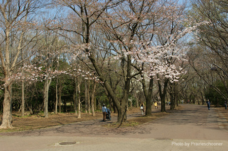 IMGP0199