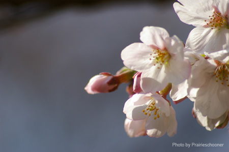 IMGP0220