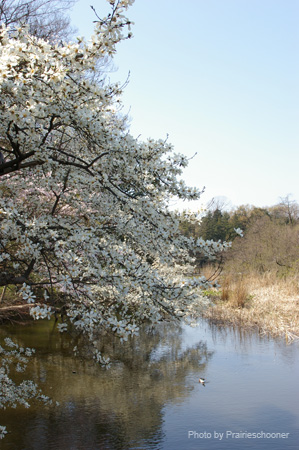 IMGP0242