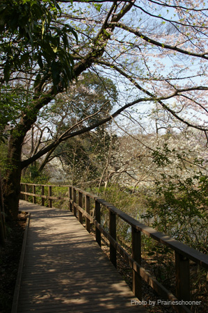 IMGP0243