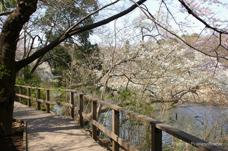 IMGP0244