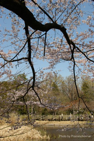IMGP0246