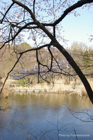 IMGP0247