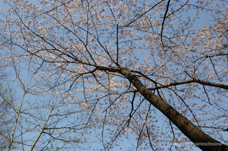 IMGP0248