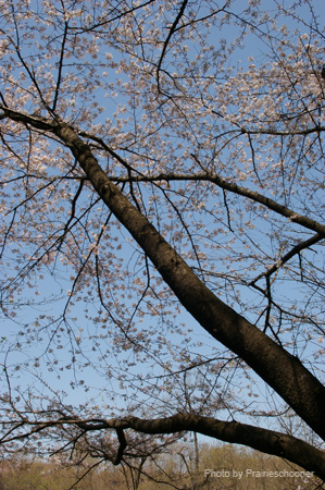 IMGP0249