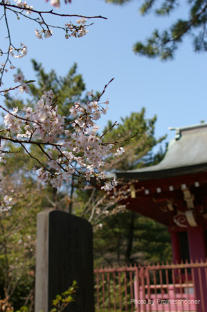 IMGP0254