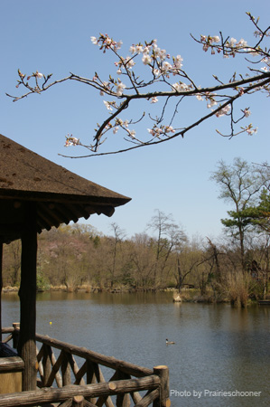 IMGP0256