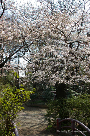 IMGP0262