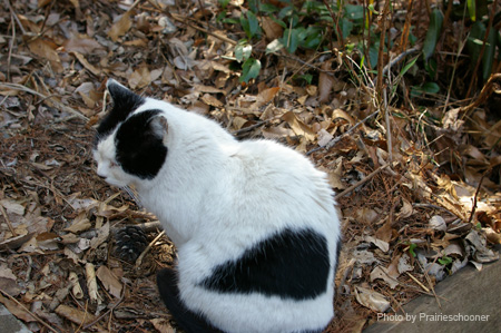 IMGP0266