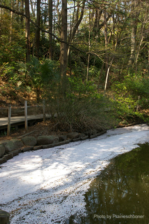 IMGP0267