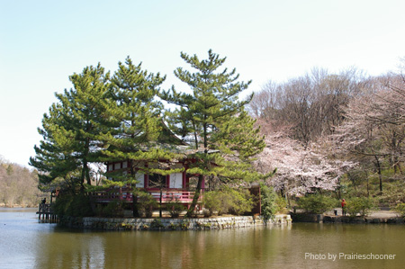IMGP0269